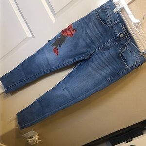 Express Skinny Jeans with Red Rose Embroidery